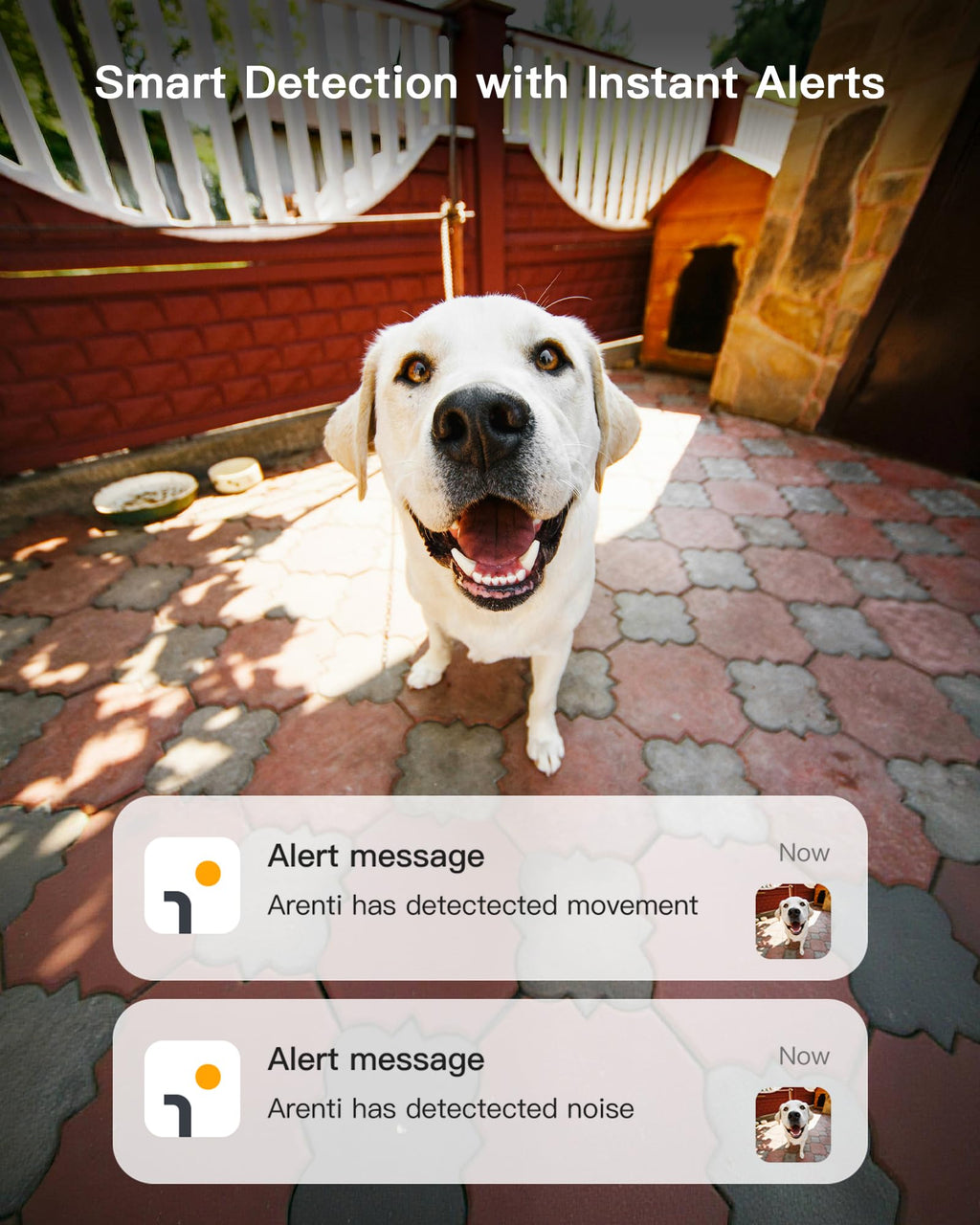 ARENTI 5G Indoor Security Camera, 4MP Pet Camera with Speaker for Dog/Cat, Baby Monitor with Phone App, Dual-Band WiFi, Auto Tracking, Super Night Vision, 2-Way Talk, Cloud & SD Card Storage(P2Q)