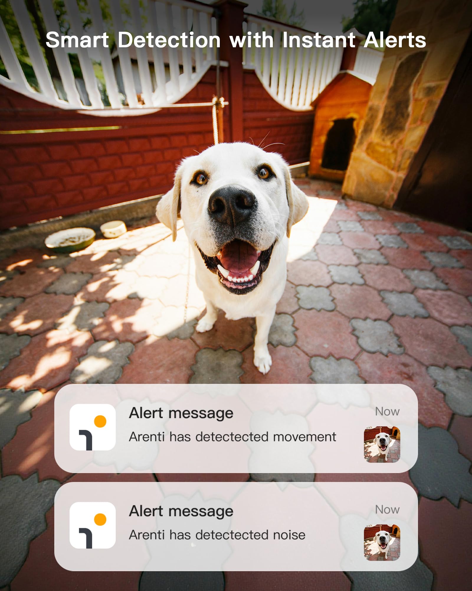 ARENTI 5G Indoor Security Camera, 4MP Pet Camera with Speaker for Dog/Cat, Baby Monitor with Phone App, Dual-Band WiFi, Auto Tracking, Super Night Vision, 2-Way Talk, Cloud & SD Card Storage(P2Q)