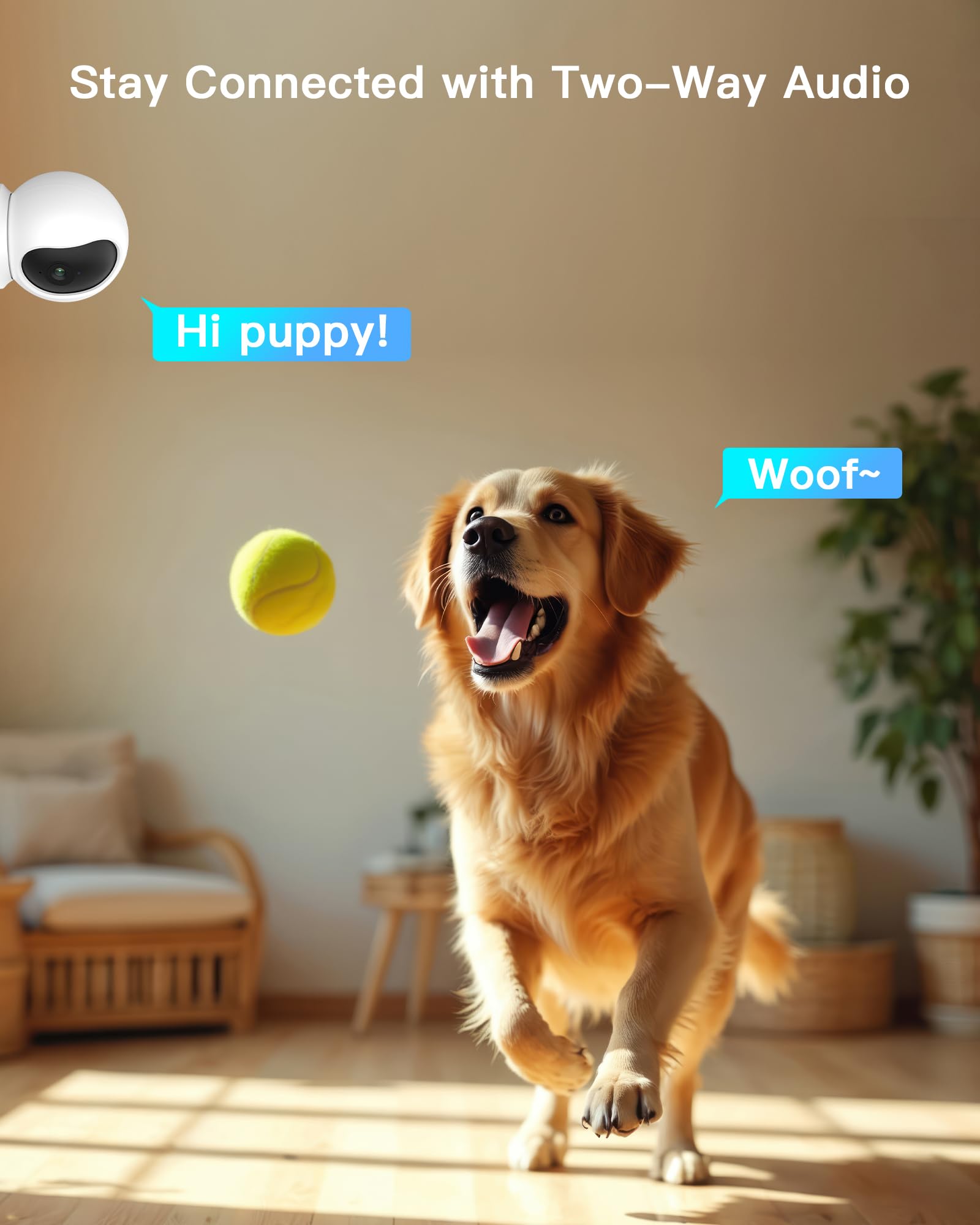 ARENTI 5G Indoor Security Camera, 4MP Pet Camera with Speaker for Dog/Cat, Baby Monitor with Phone App, Dual-Band WiFi, Auto Tracking, Super Night Vision, 2-Way Talk, Cloud & SD Card Storage(P2Q)